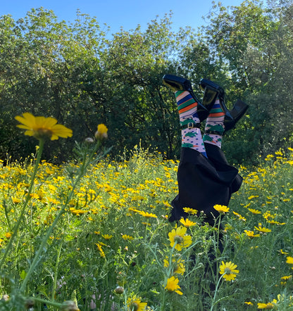 Birds Socks